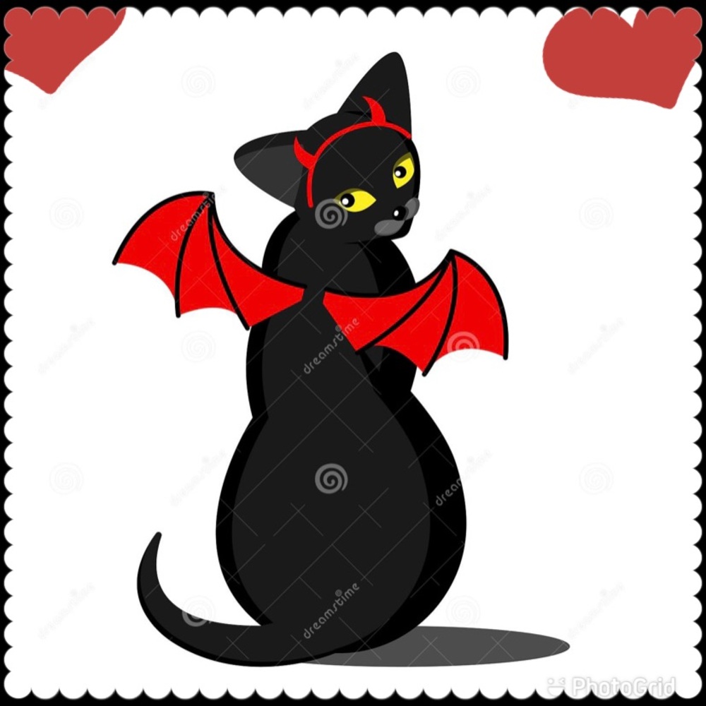Devil pets costume ❤️